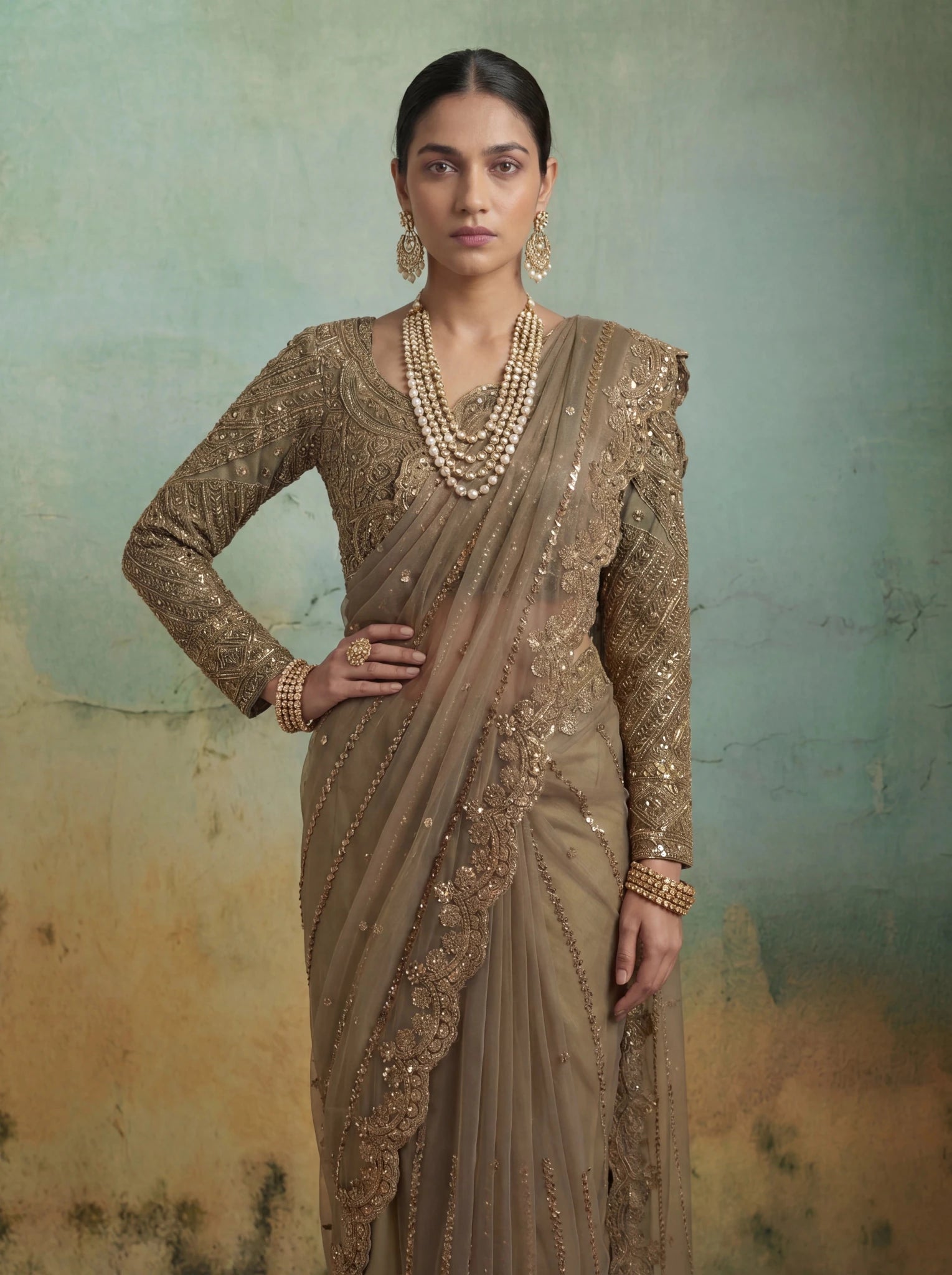 Luxury Brownish Beige Net Saree with Rich Embroidery & Blouse - Zimonza