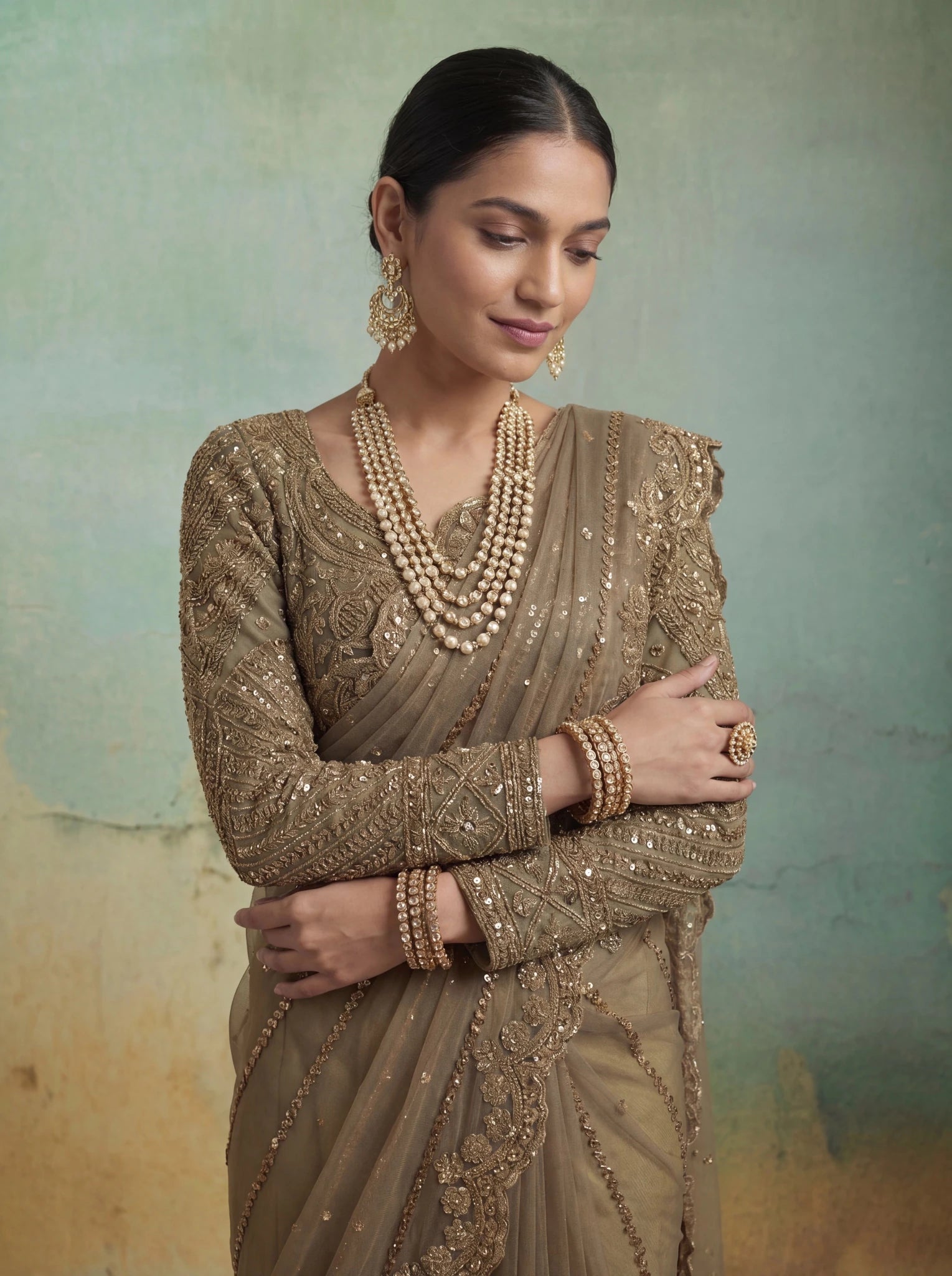 Luxury Brownish Beige Net Saree with Rich Embroidery & Blouse - Zimonza