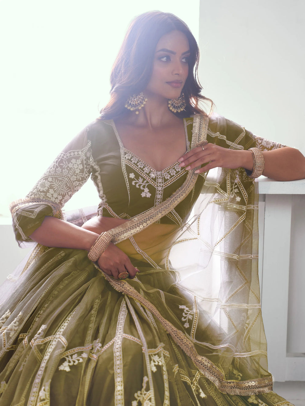 Olive Slate Embroidered Net Engagement Wear Lehenga Choli for Women