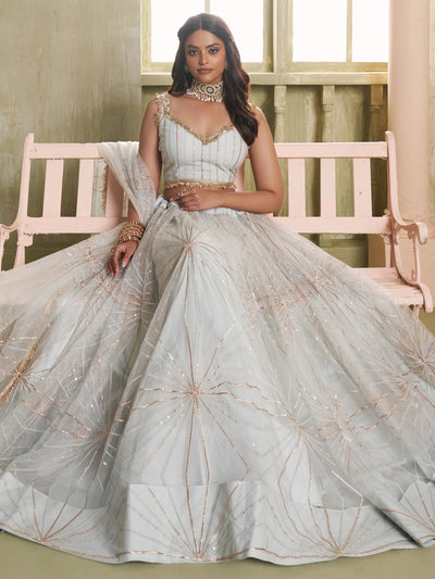 Light Grey Sequins Net Engagement Wear Lehenga Choli for Women