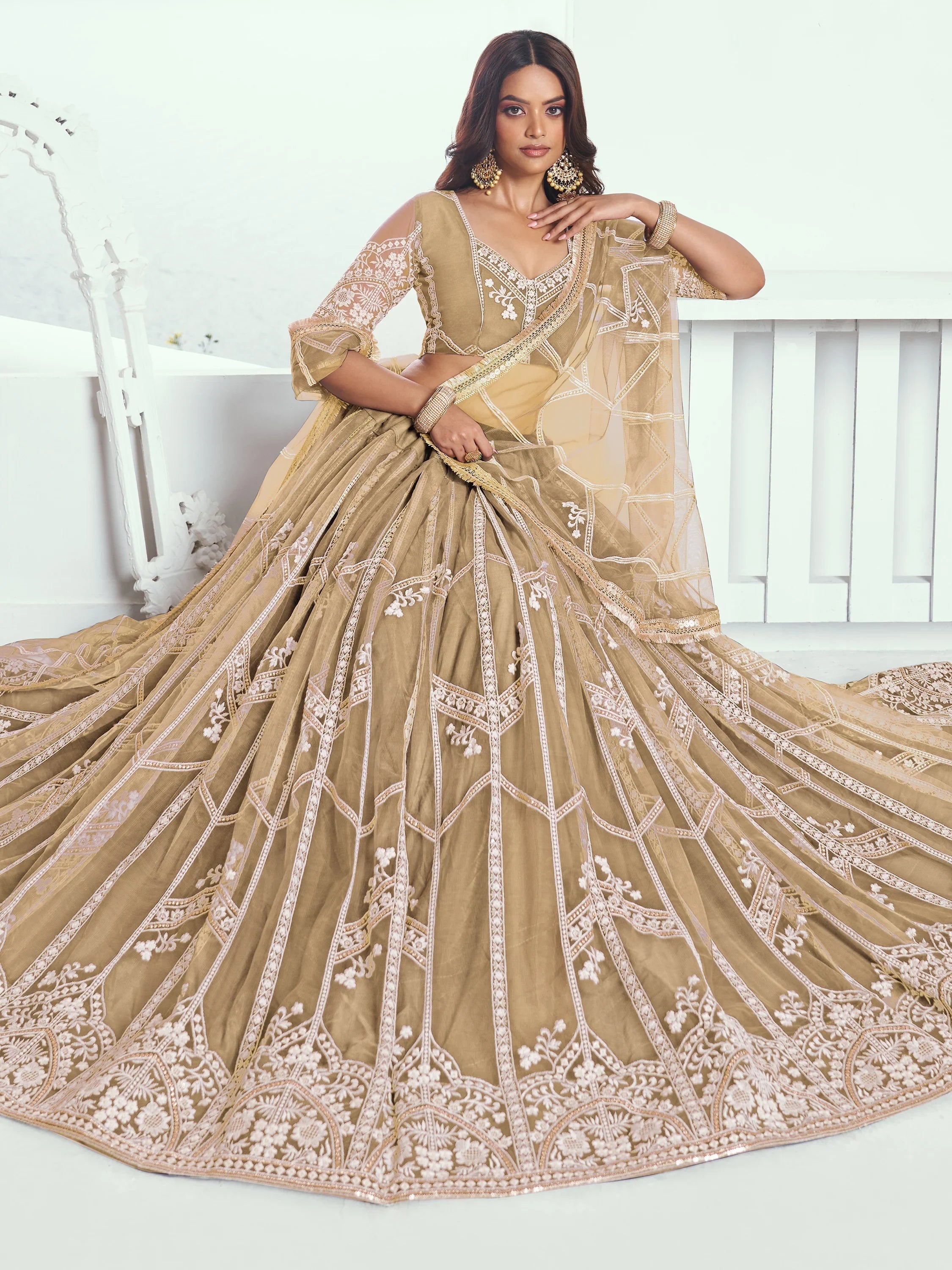Beige Slate Embroidered Net Engagement Wear Lehenga Choli for Women