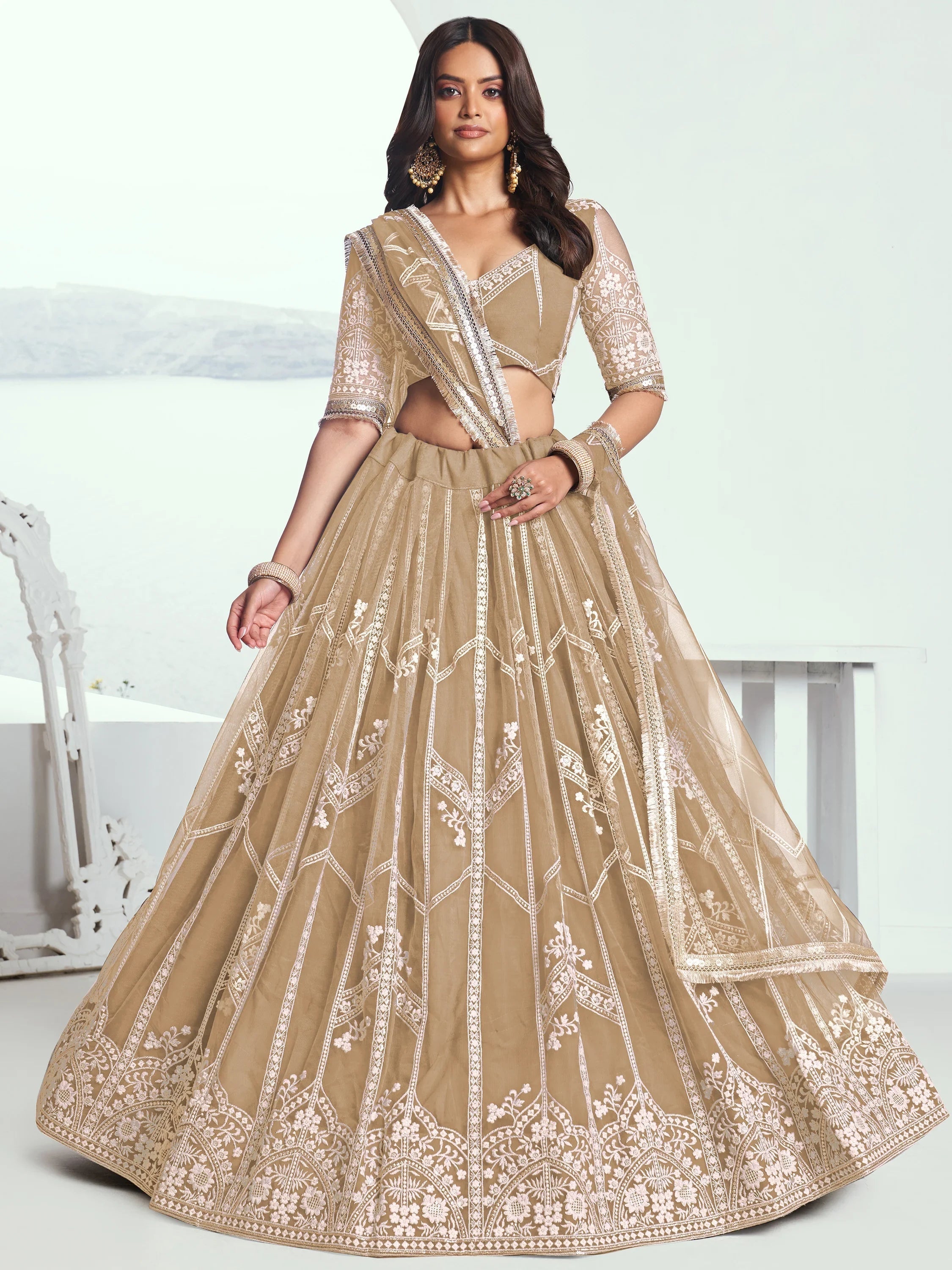 Beige Slate Embroidered Net Engagement Wear Lehenga Choli for Women