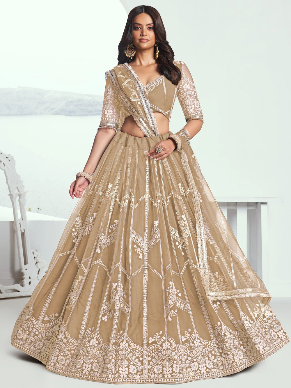 Beige Slate Embroidered Net Engagement Wear Lehenga Choli for Women