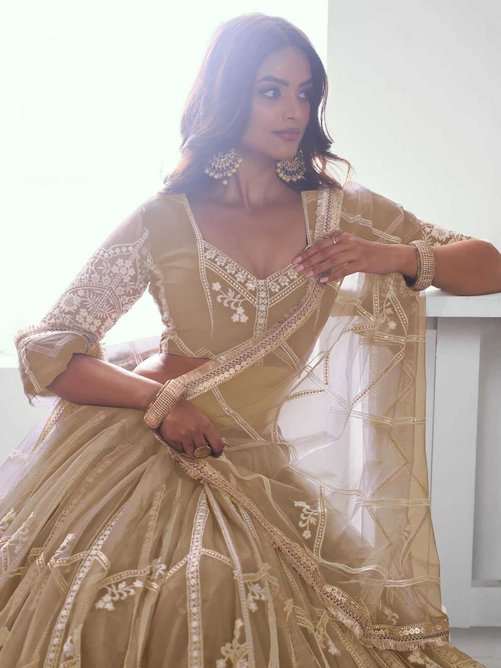 Beige Slate Embroidered Net Engagement Wear Lehenga Choli for Women