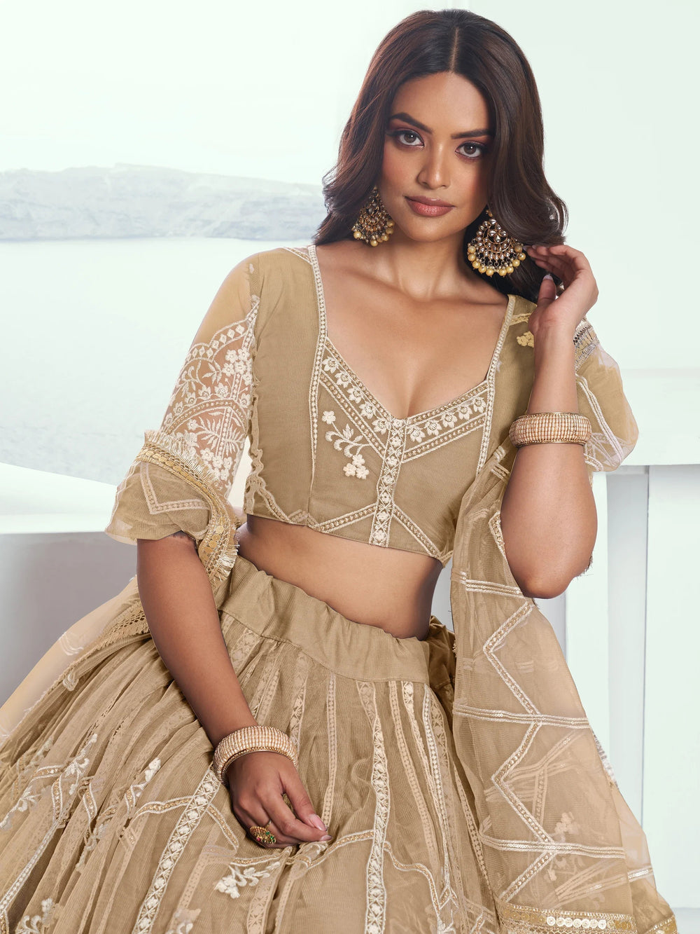 Beige Slate Embroidered Net Engagement Wear Lehenga Choli for Women