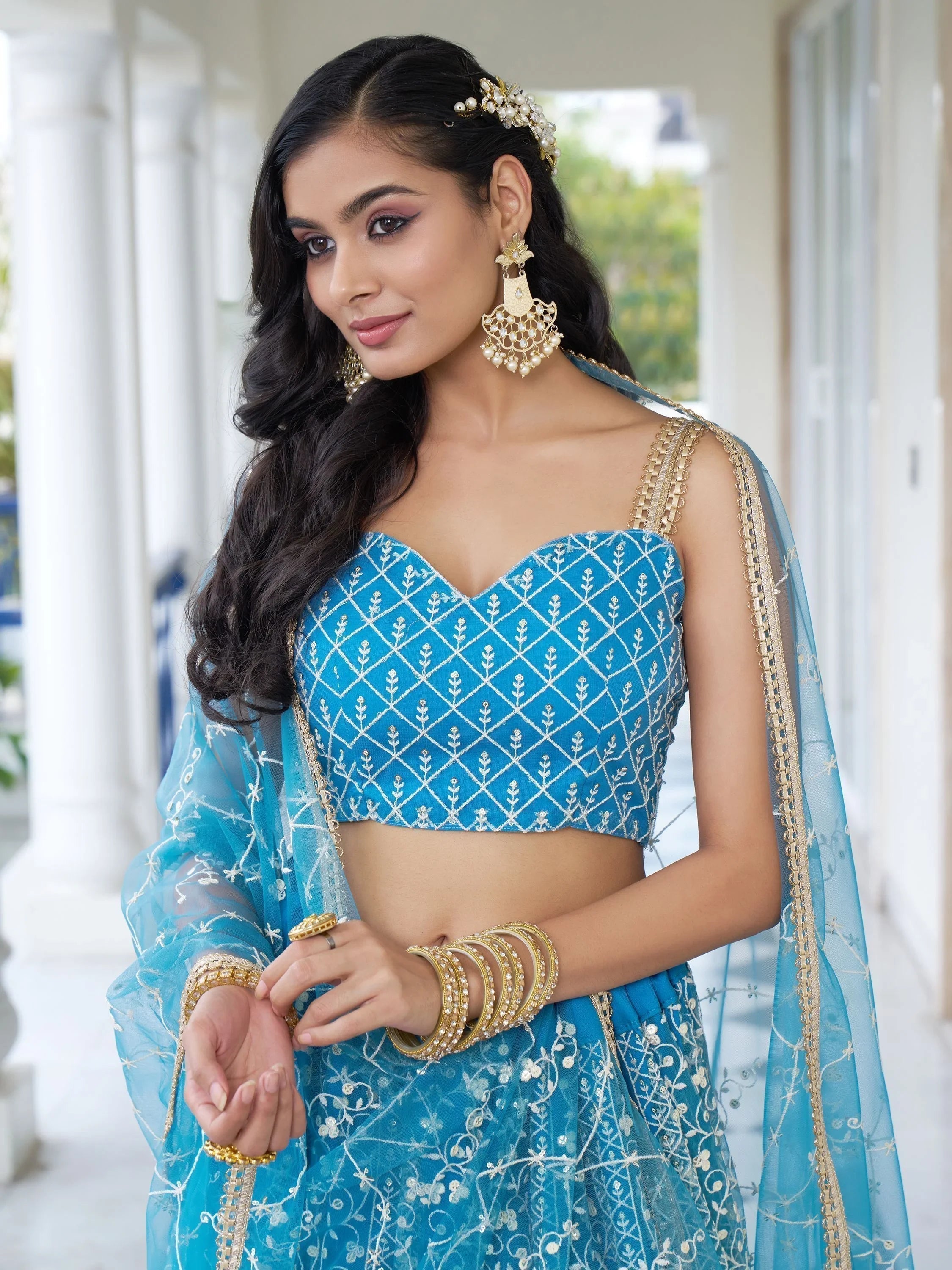 Sky Blue Embroidered Net Designer Lehenga Choli for Women