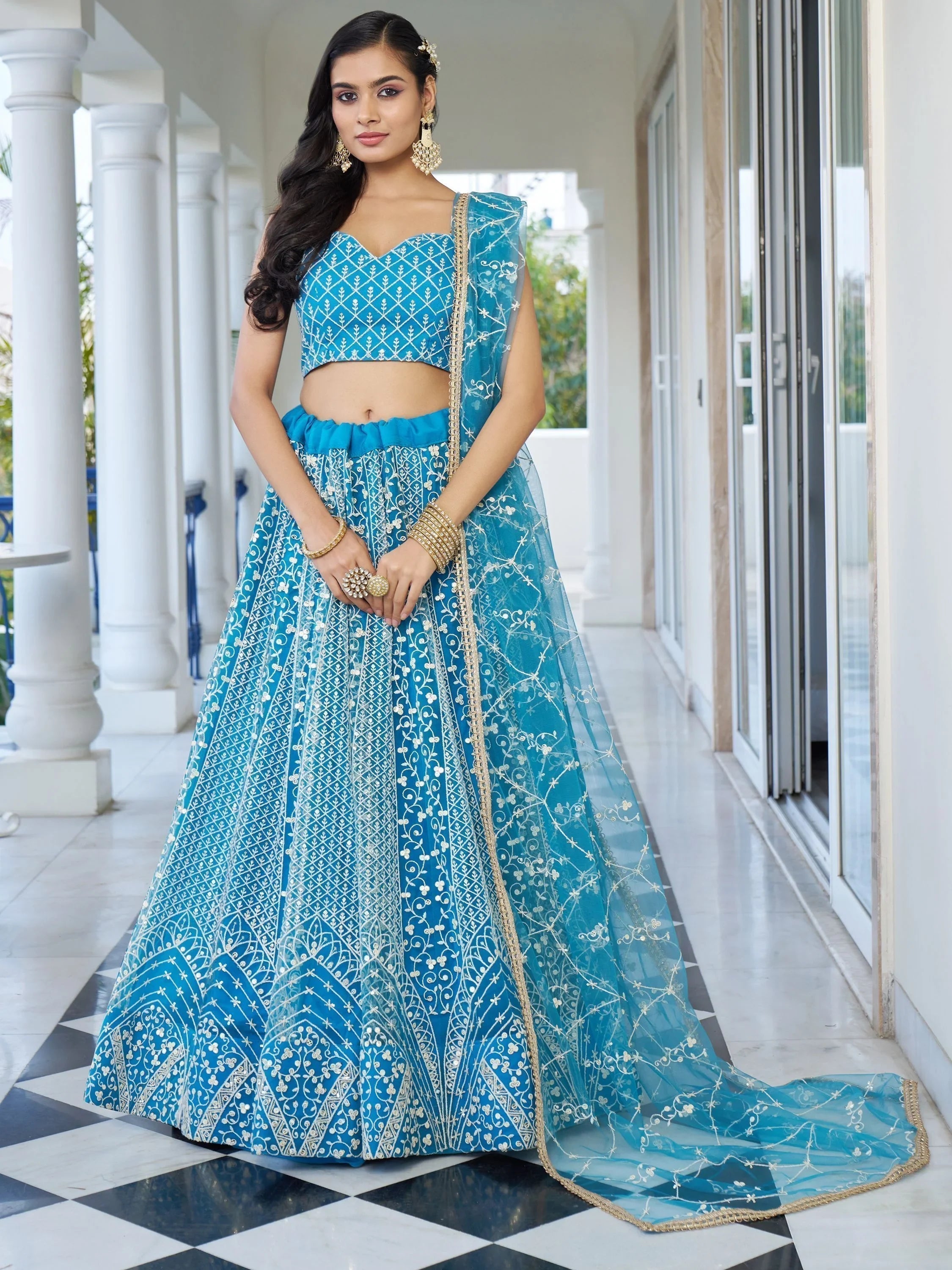 Sky Blue Embroidered Net Designer Lehenga Choli for Women