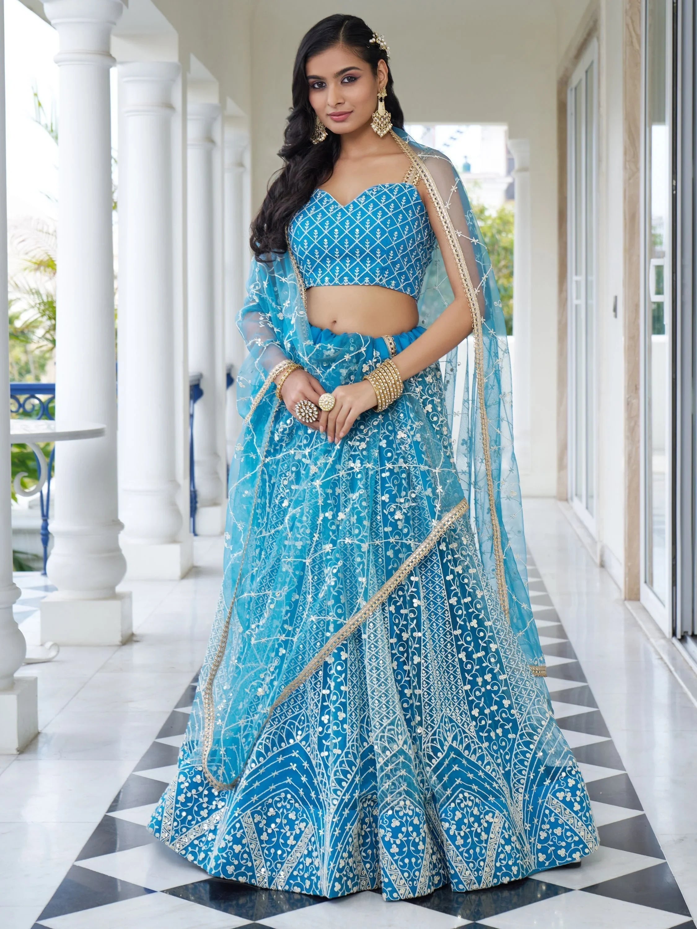 Sky Blue Embroidered Net Designer Lehenga Choli for Women